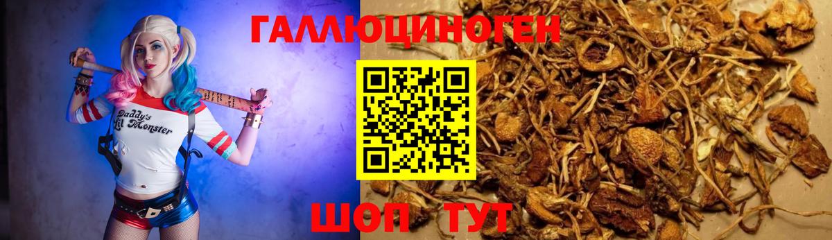 Псилоцибиновые грибы мухоморы Новокуйбышевск